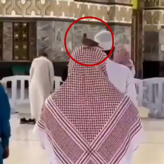 Güvercin Kabede namaz kılan kişinin başından ayrılmadı
